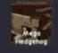 Hedgehog