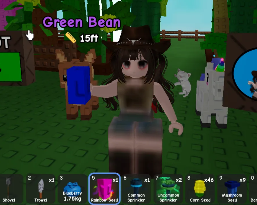 RAINBOW SEED GROW A GARDEN 2 — Account account