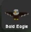 Bald Eagle.....!!