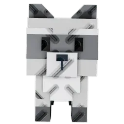Raccoon