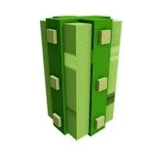 Cactus Seed