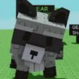 Raccoon (Common) — Account account