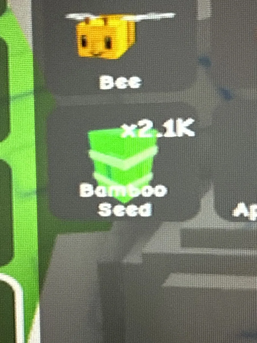 Bamboo Seed — Account account