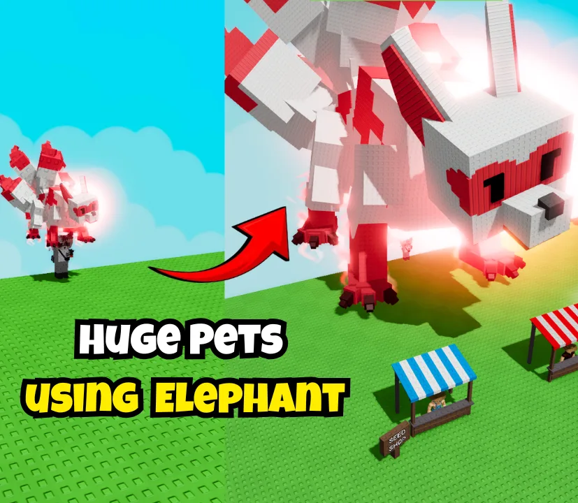 HUGE PET MAKING SERVICE PET WEIGHT SERVICE +10KG BOOST (can go to 60)
