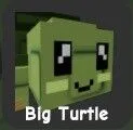 Turtle (Rare)
