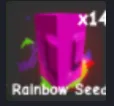 Rainbow Seed — Account account