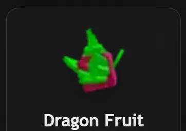 Dragon Fruit Seed