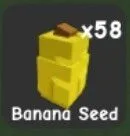 Banana Seed