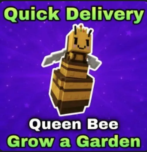 Queen Bee — Account account