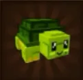 Turtle - INSTANT DELIVERY (Rare)