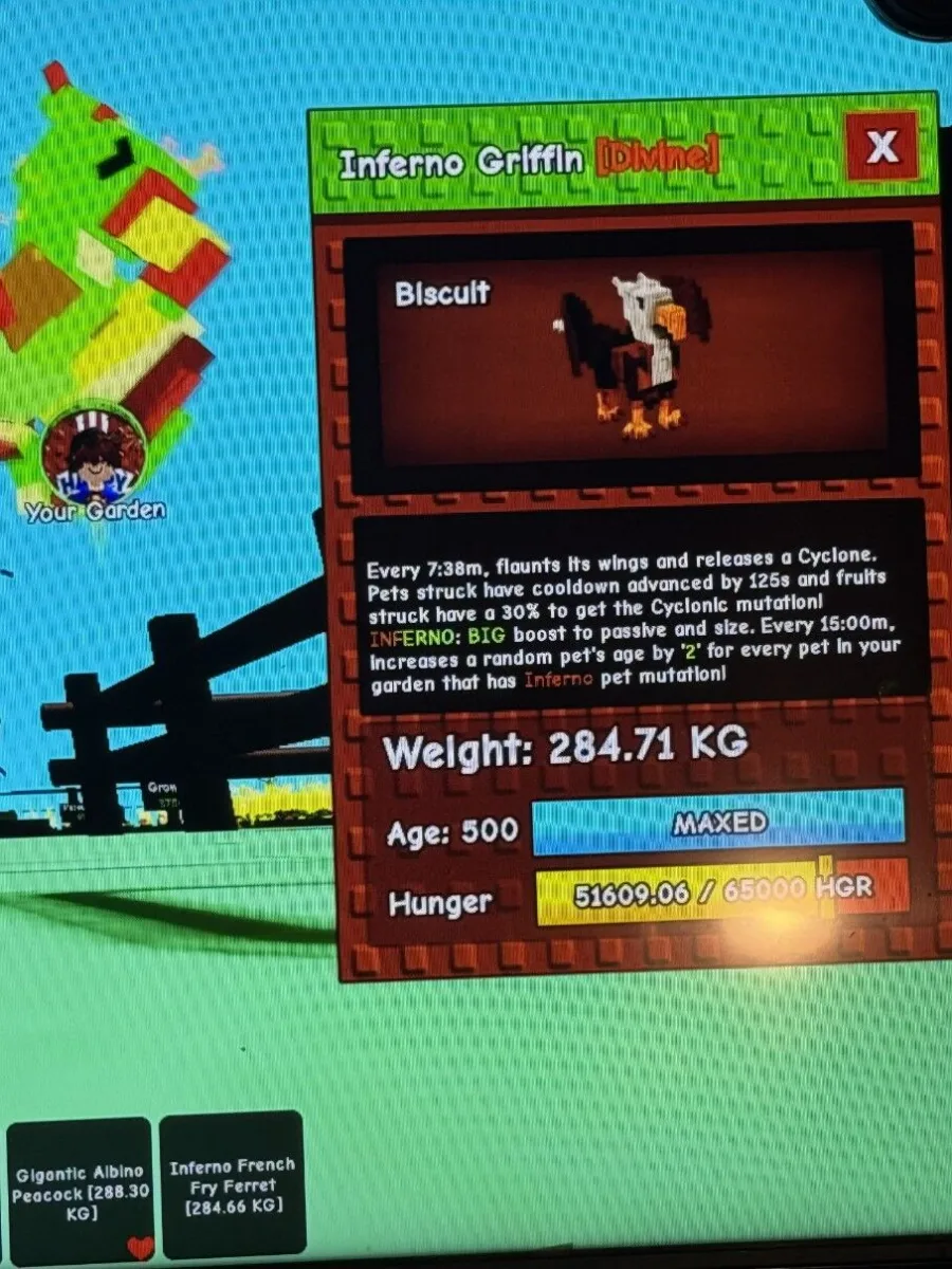 284.71kg INFERNO MUTATED GRIFFIN FOR PET LEVELING AGE 500 COMPLETELY MAXED