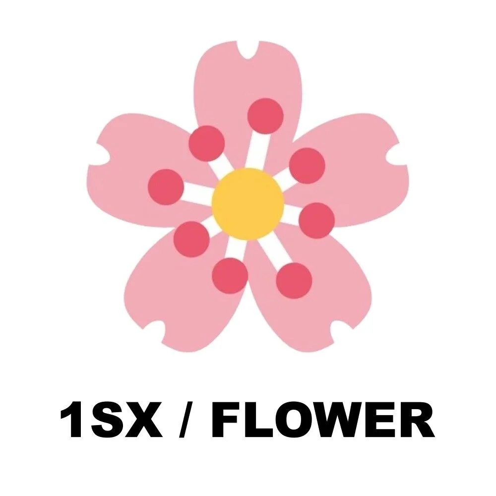 1SX / 1 SX / 1M FLOWER - SHECKLES — Account account