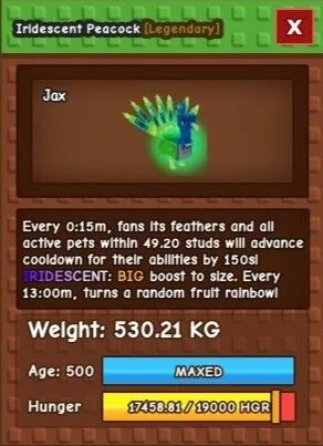 114,38 KG Peacock if Age 100 ( 1 OF 1 PEACOCK IN THE WORLD )