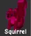 Squirrel (Legendary)