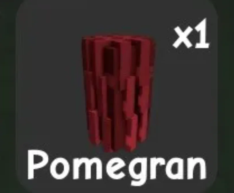 Pomegranate Seed