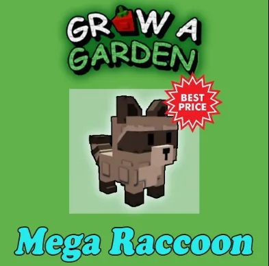 mega raccon — Account account