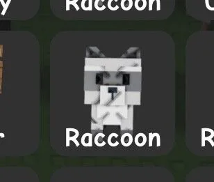 Raccoon (Super)