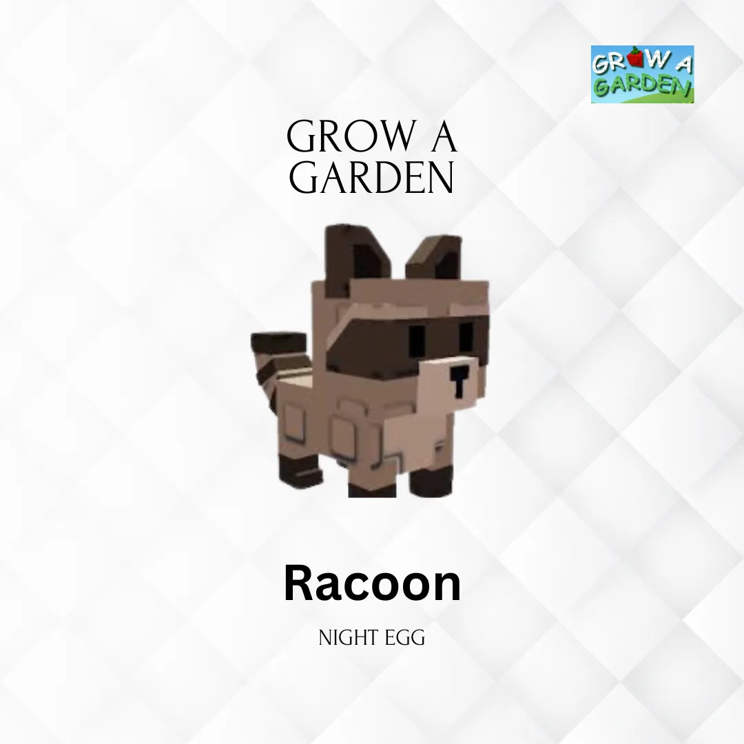 RACOON GROW A GARDEN BASE RANDOM