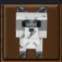 Raccoon (Super)