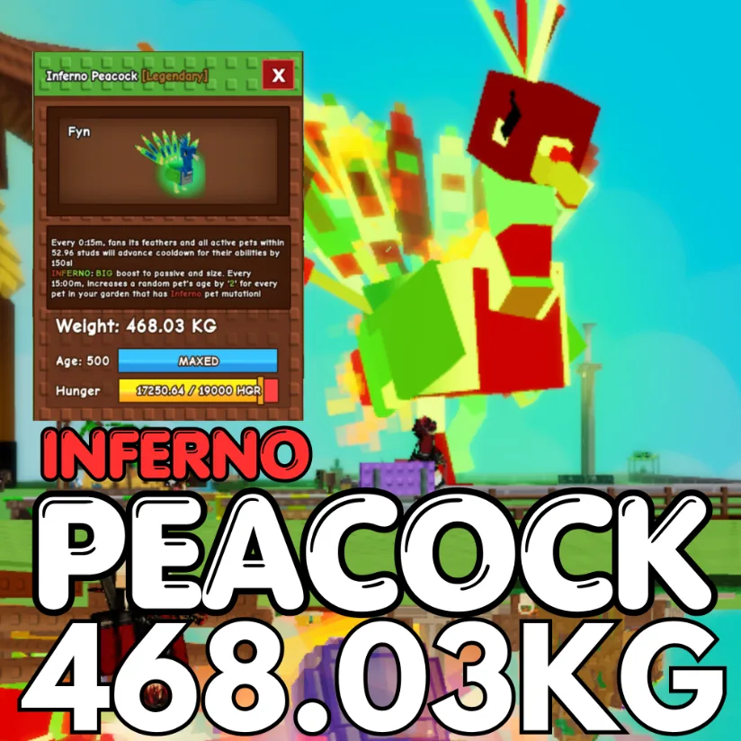 INFERNO Colossal Peacock 468.03KG 15sec CD Age 500 INSTANT DELIVERY