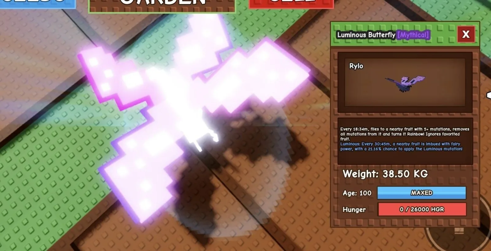 Huge LUMINOUS Butterfly - 38.50 KG (Age 100)