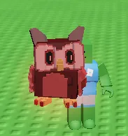 Blood Owl — Account account