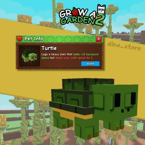 Turtle - new pet immediate delivery