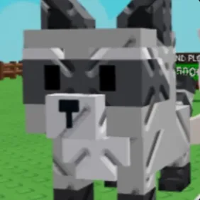 Raccoon (Super) — Account account