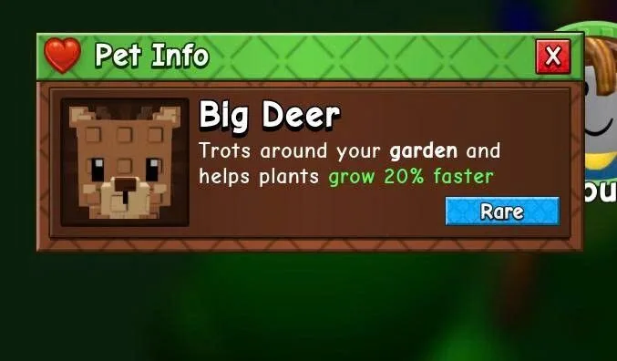 Deer