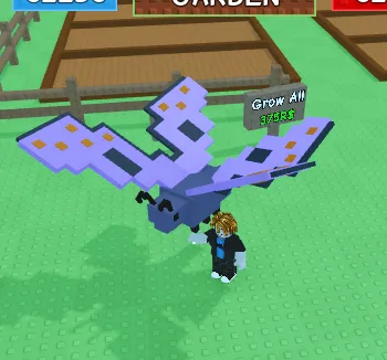 Mega Butterfly — Account account