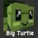 Turtle (Rare)