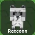 Raccoon (Super)