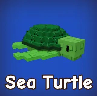 Sea Turtle