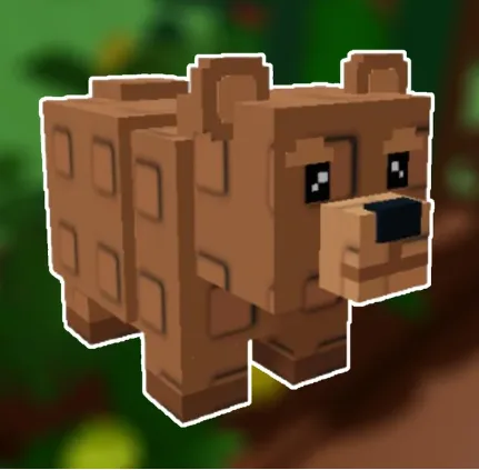 Bear