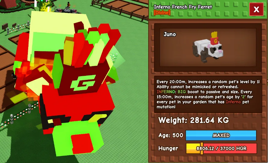 280kg+ Inferno French Fry Ferret super handsome and cute // Ready to use // Fully build// stock 3_ buy 3 discout 10