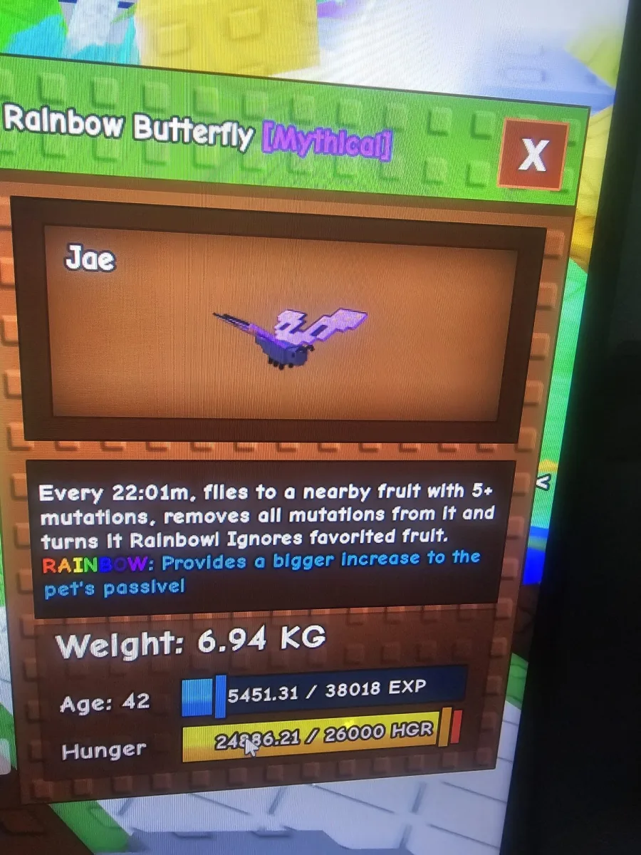 rainbow butterfly