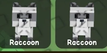 2x raccoon