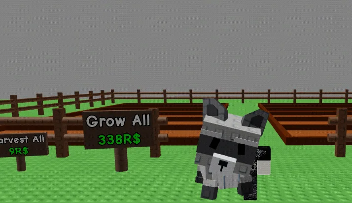 Raccoon x1 — Account account