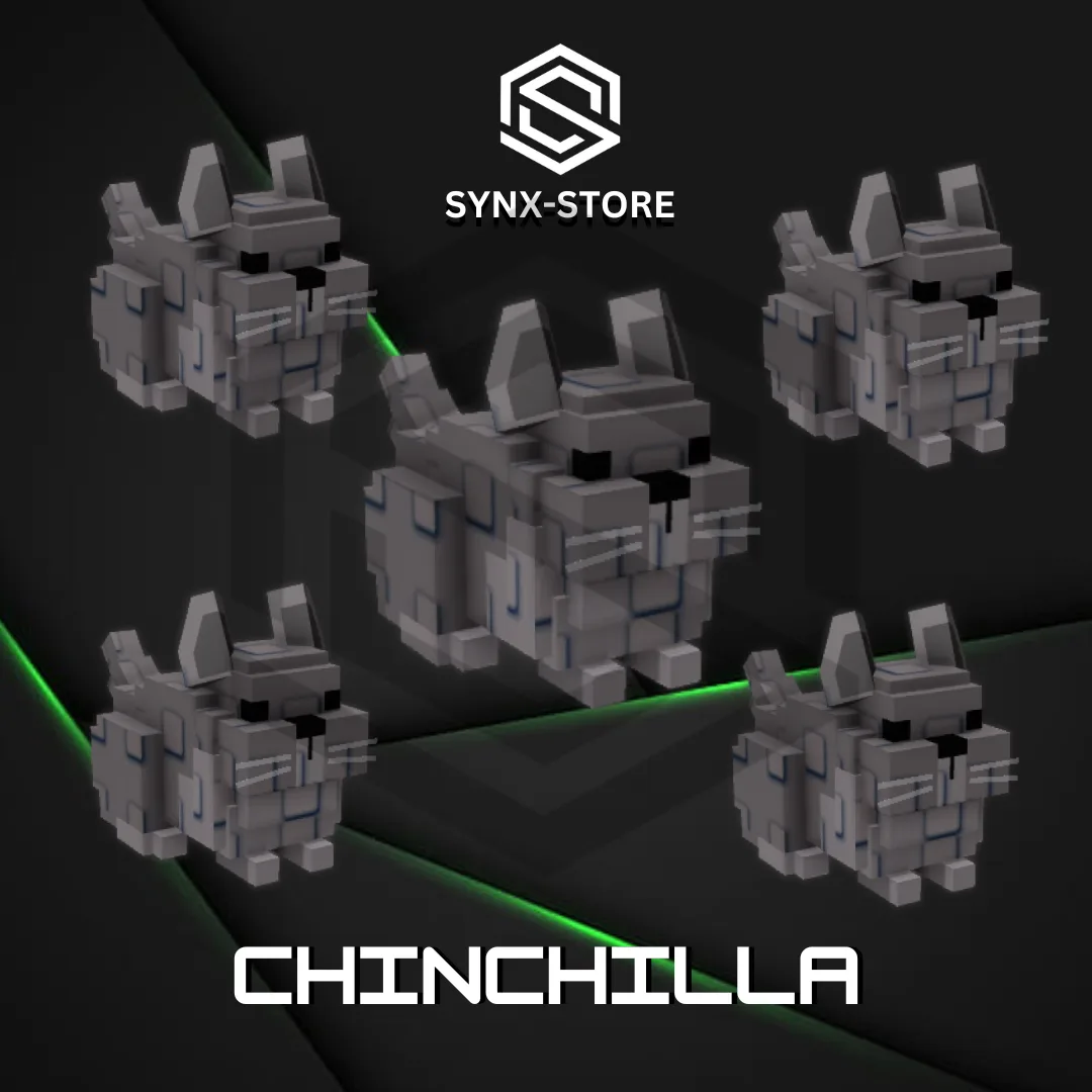 5 x Chinchilla