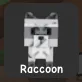 Raccoon — Account account