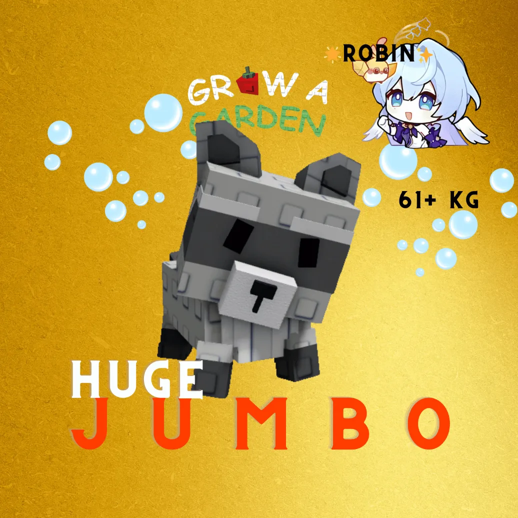 Jumbo HUGE Raccoon - 61+ KG - Grow a Garden — Account account
