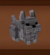 Chinchilla — Account account