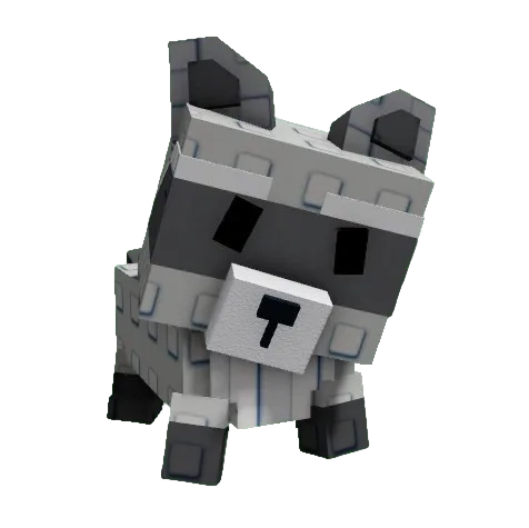 Raccoon