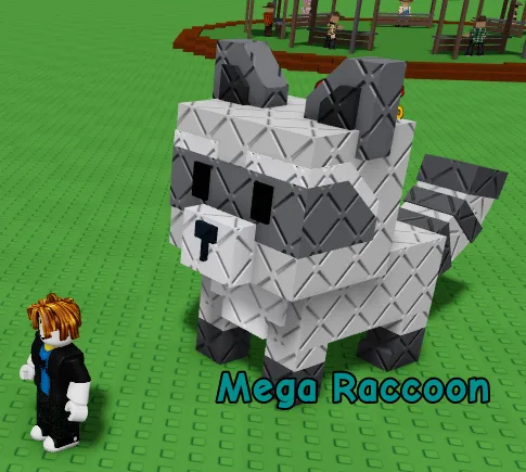 Raccoon (Super)