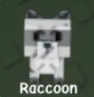 Raccoon (Super) — Account account