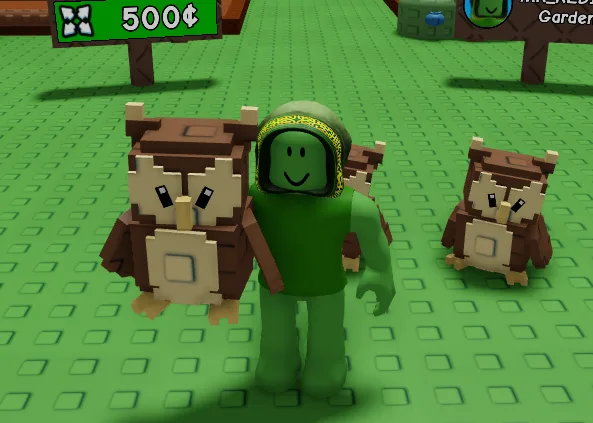 Owl (Rare) — Account account