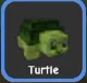 x1 Turtle New Pet !! (Super) — Account account