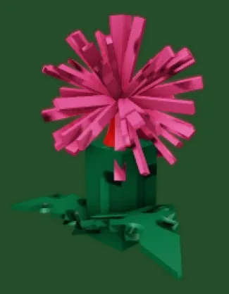 FIREWORK FERN SEED