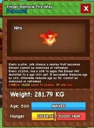 60-62KG+ RAINBOW FIRE WISP (RBH 280-290KG) FAST DELIVERY