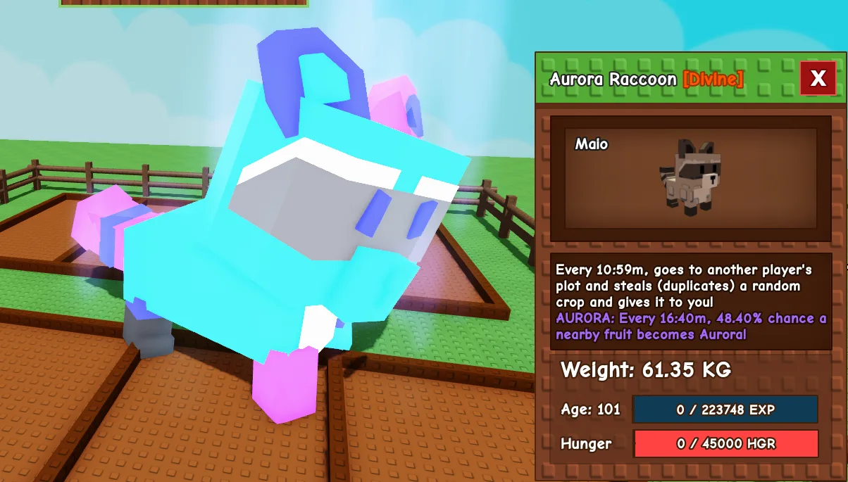 61.35kg Age 101 Aurora Raccoon